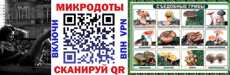 Галлюциногенные грибы Psilocybe  Котово 